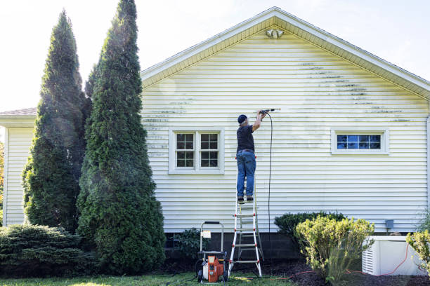 Best Fence Cleaning  in Idyllwild Pine Cove, CA
